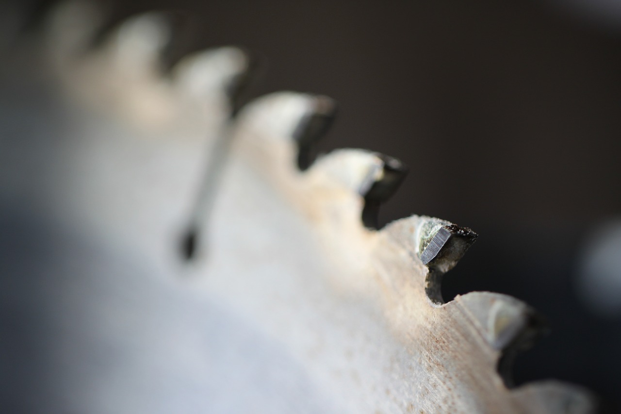 saws, macro, close up-58578.jpg